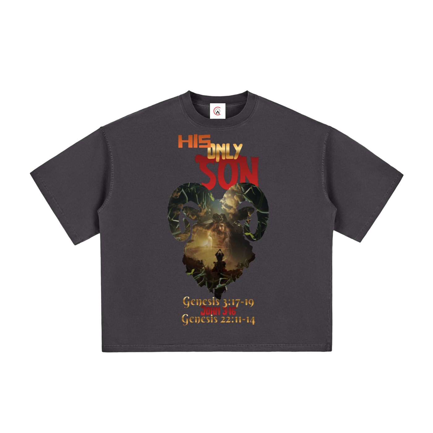 HIS only SON Vintage Washed Boxy T-Shirt