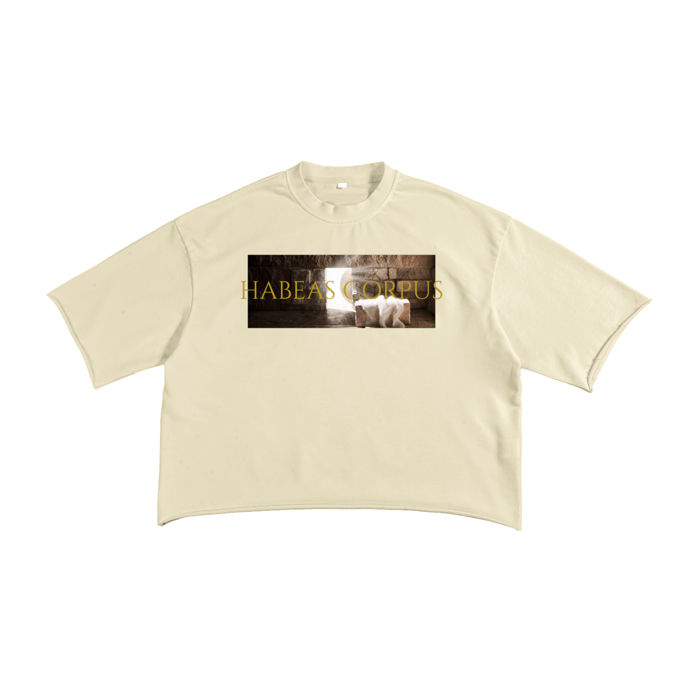 Free the Slaves Raw Edge T-Shirt