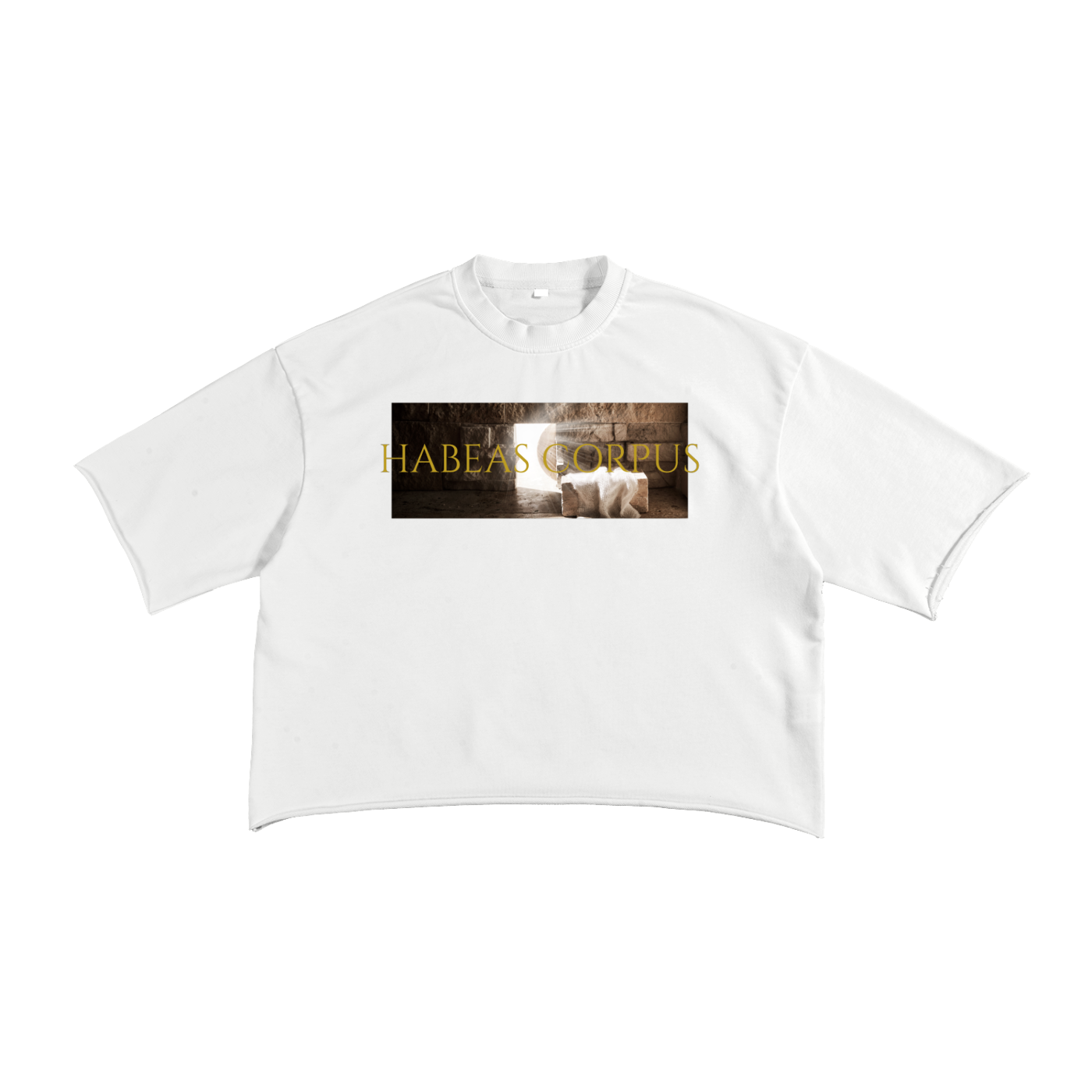 Free the Slaves Raw Edge T-Shirt