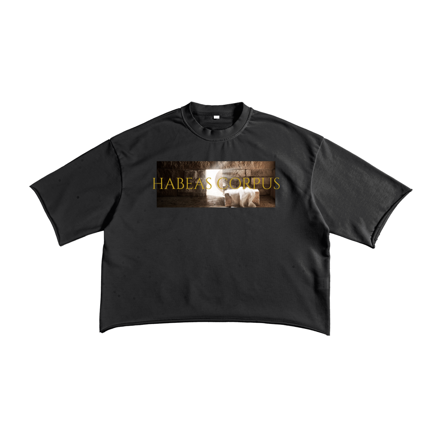 Free the Slaves Raw Edge T-Shirt